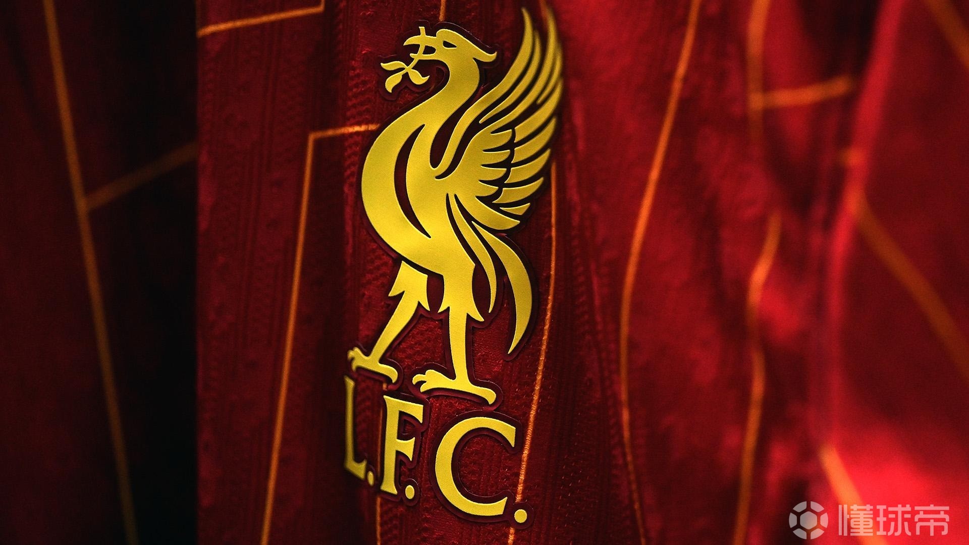 夺冠后，阿根廷球员不同的对待 阿根廷队